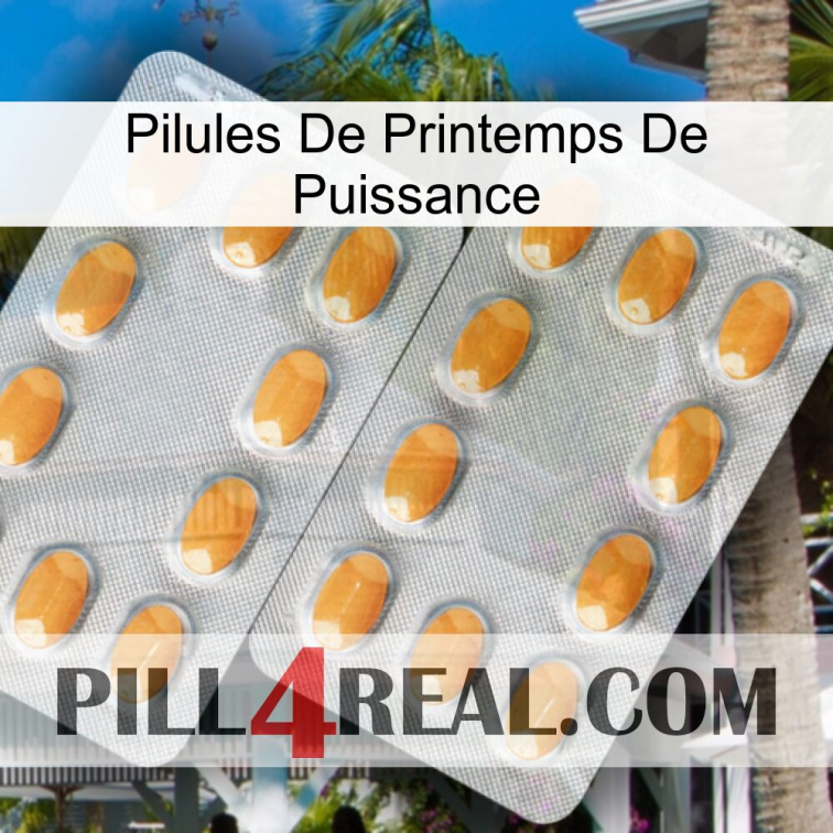 Power Spring Pills cialis4